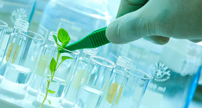 msc biotechnology colleges